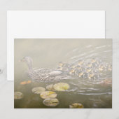 Animal - Ducks - Swim like a duck 案内状 (正面/裏面)