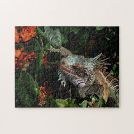  Animal Iguana Exotic Reptile Pet Lizard USVI ジグソーパズル