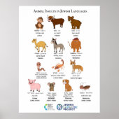 Animal Insults in Jewish Languages Poste ポスター (正面)
