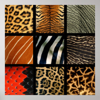 Animal Prints - 1 ポスター
