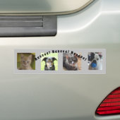 Animal Rescue Bumper Sticker バンパーステッカー (車上)