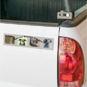 Animal Rescue Bumper Sticker バンパーステッカー (トラック上)