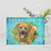 Animal Shelter Thank You Photo Template Wood Card 招待状 (スタンド正面)