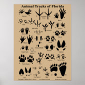 Animal tracks of Florida Poster (Medium) ポスター (正面)