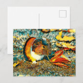AnimalArt_モルモット_001 ポストカード (正面/裏面)