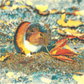 AnimalArt_GuineaPig_001 シール (正面)