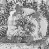 AnimalArtBW_Cat_07 シール (正面)