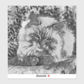 AnimalArtBW_Cat_07 シール (シート)