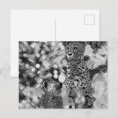 AnimalArtBW_Cheetah_008 ポストカード (正面/裏面)