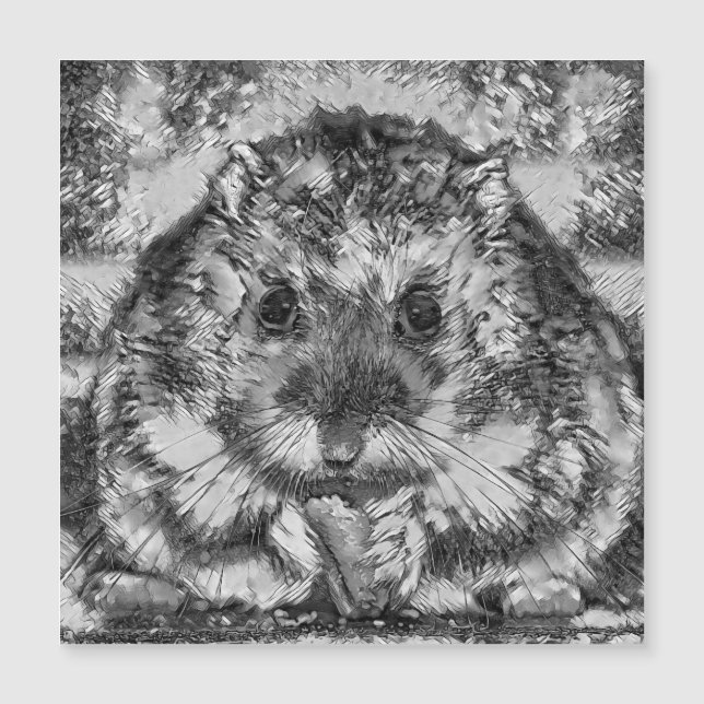 AnimalArtBW_Hamster_001 (正面)