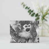 AnimalArtBW_Monkey_002 ポストカード (スタンド正面)