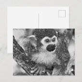 AnimalArtBW_Monkey_002 ポストカード (正面/裏面)