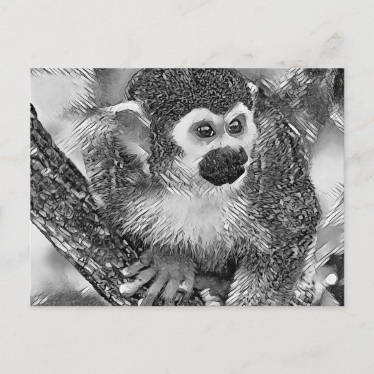 AnimalArtBW_Monkey_002 ポストカード (正面)