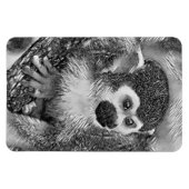 AnimalArtBW_Monkey_002 マグネット (横)