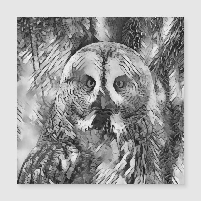 AnimalArtBW_Owl_001 (正面)