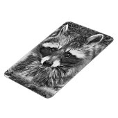 AnimalArtBW_Raccoon_006 マグネット (左側)