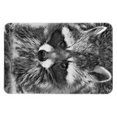 AnimalArtBW_Raccoon_006 マグネット (横)