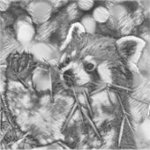 AnimalArtBW_RedPanda_001 シール (正面)