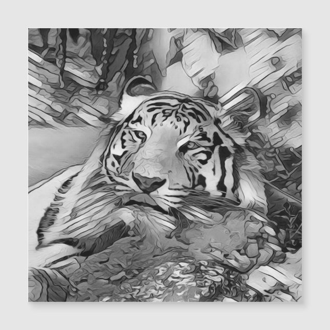 AnimalArtBW_Tiger_002 (正面)