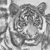 AnimalArtBW_Tiger_009 シール (正面)