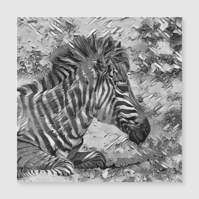 AnimalArtBW_Zebra_001 (正面)