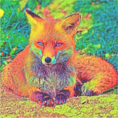 AnimalColor_キツネ_001 シール (正面)