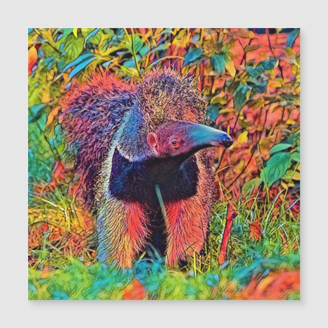 AnimalColor_Anteater_001 (正面)