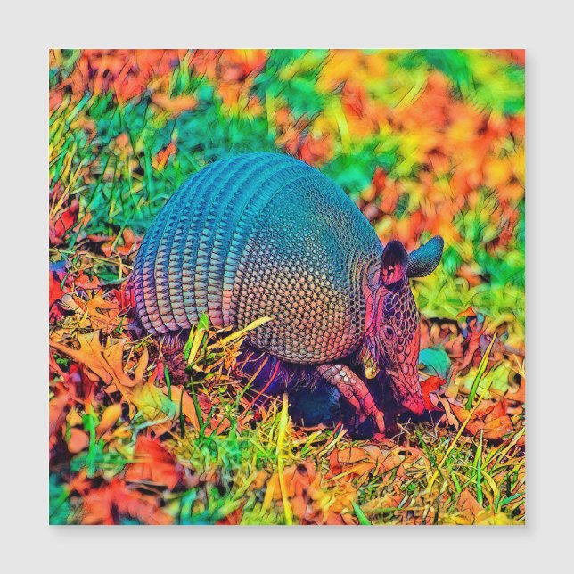 AnimalColor_Armadillo_001 (正面)