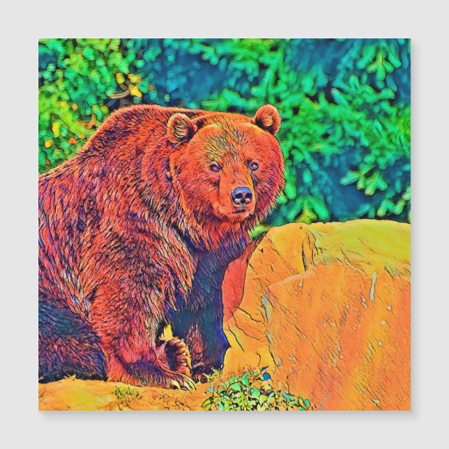 AnimalColor_Bear_001 (正面)