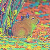 AnimalColor_Capybara_001 シール (正面)