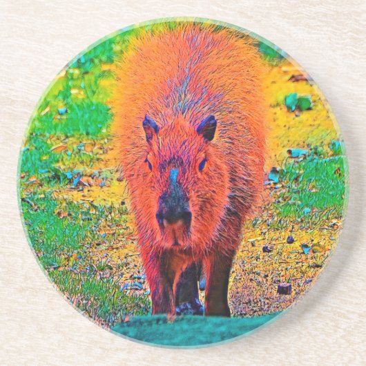AnimalColor_Capybara_011 コースター (正面)