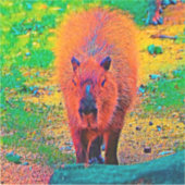 AnimalColor_Capybara_011 シール (正面)