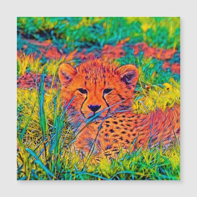 AnimalColor_Cheetah_017 (正面)