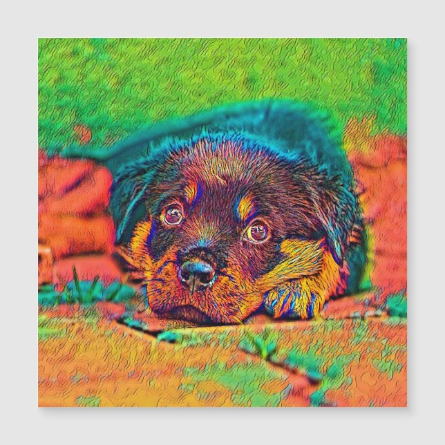 AnimalColor_Dog_002 (正面)