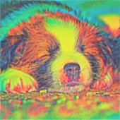 AnimalColor_Dog_017 シール (正面)