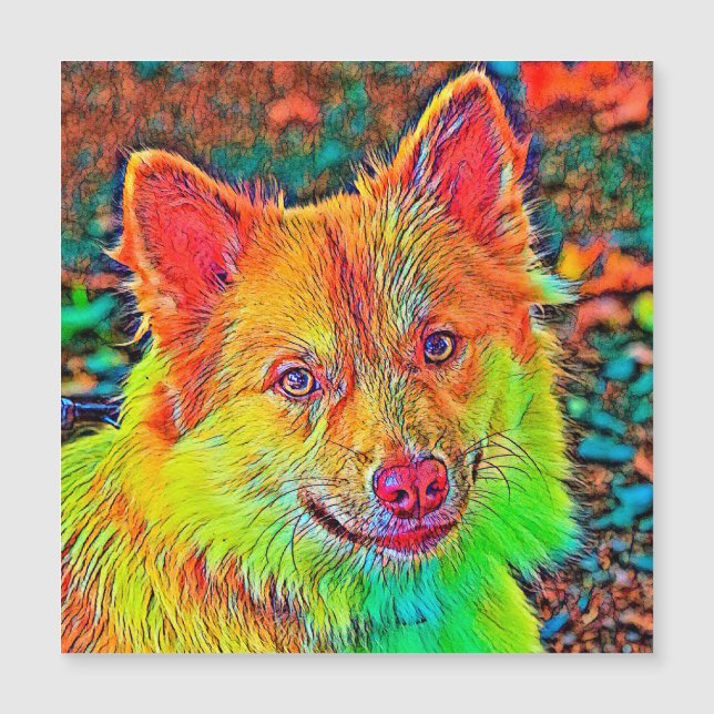 AnimalColor_Dog_020 (正面)