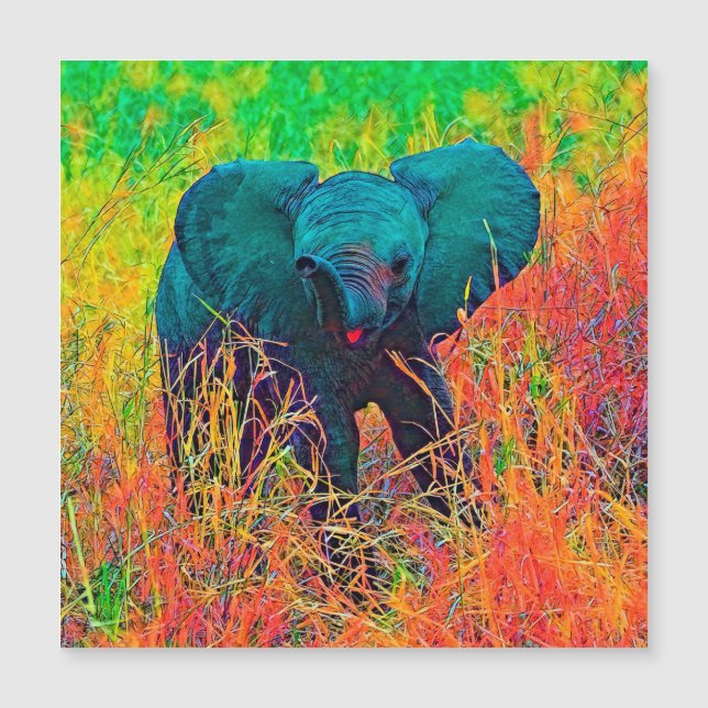 AnimalColor_Elephant_002 (正面)