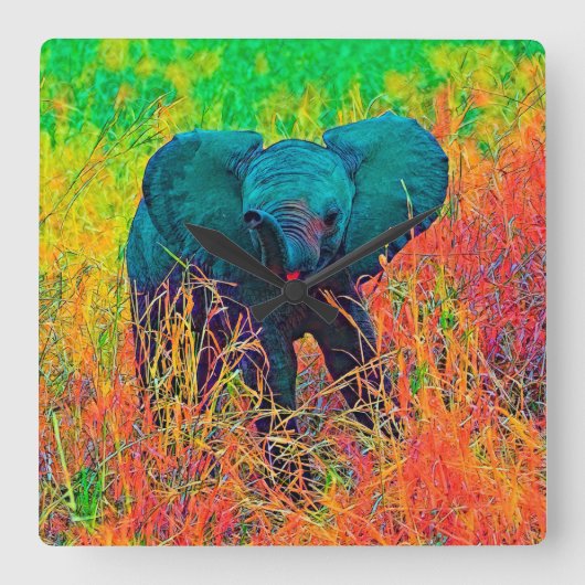 AnimalColor_Elephant_002 スクエア壁時計 (正面)