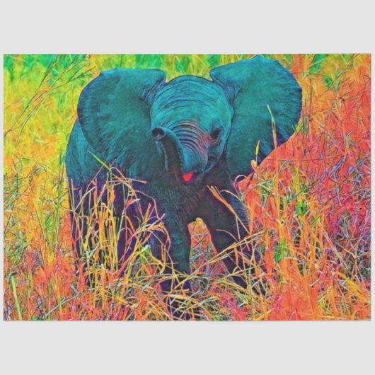 AnimalColor_Elephant_002_by_JAMColors 薄葉紙 (正面)