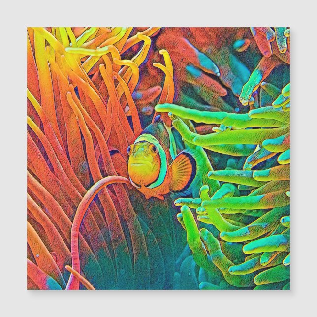 AnimalColor_Fish_001 (正面)