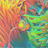 AnimalColor_Fish_001 シール (正面)