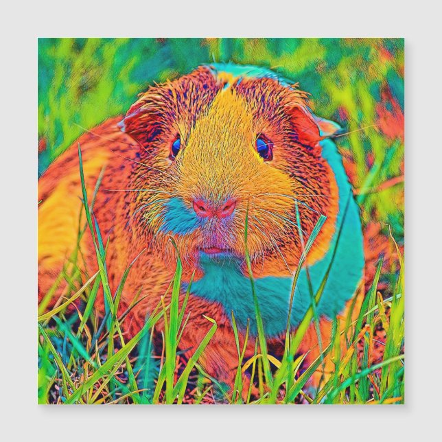 AnimalColor_Guineapig_017 (正面)