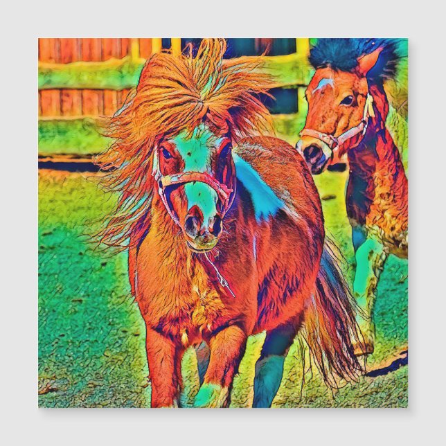 AnimalColor_Horse_001 (正面)