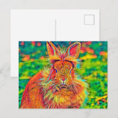 AnimalColor_Rabbit_004 ポストカード (正面/裏面)
