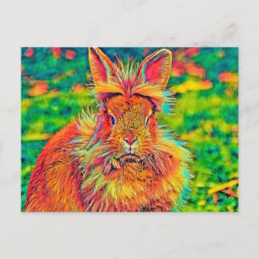AnimalColor_Rabbit_004 ポストカード (正面)