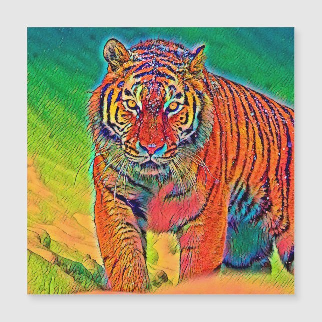 AnimalColor_Tiger_005 (正面)