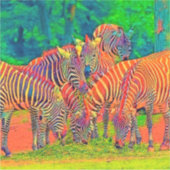 AnimalColor_Zebra_002 シール (正面)