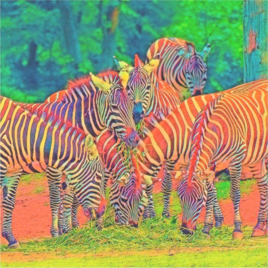 AnimalColor_Zebra_002 シール (正面)
