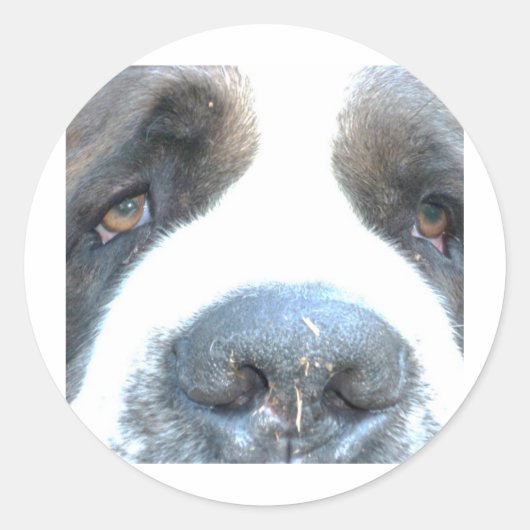 Animales ラウンドシール (正面)