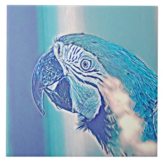 AnimalMix_Bird_009 タイル (正面)